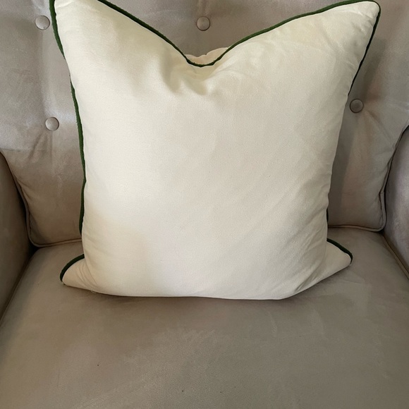 Beautiful throw pillow - Picture 2 of 4